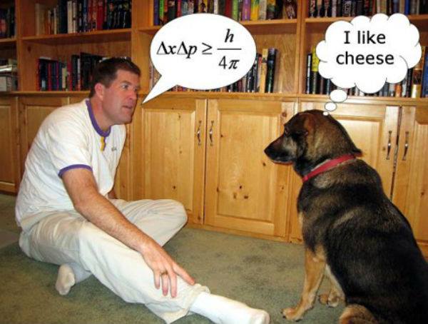 1-i-like-cheese.jpg